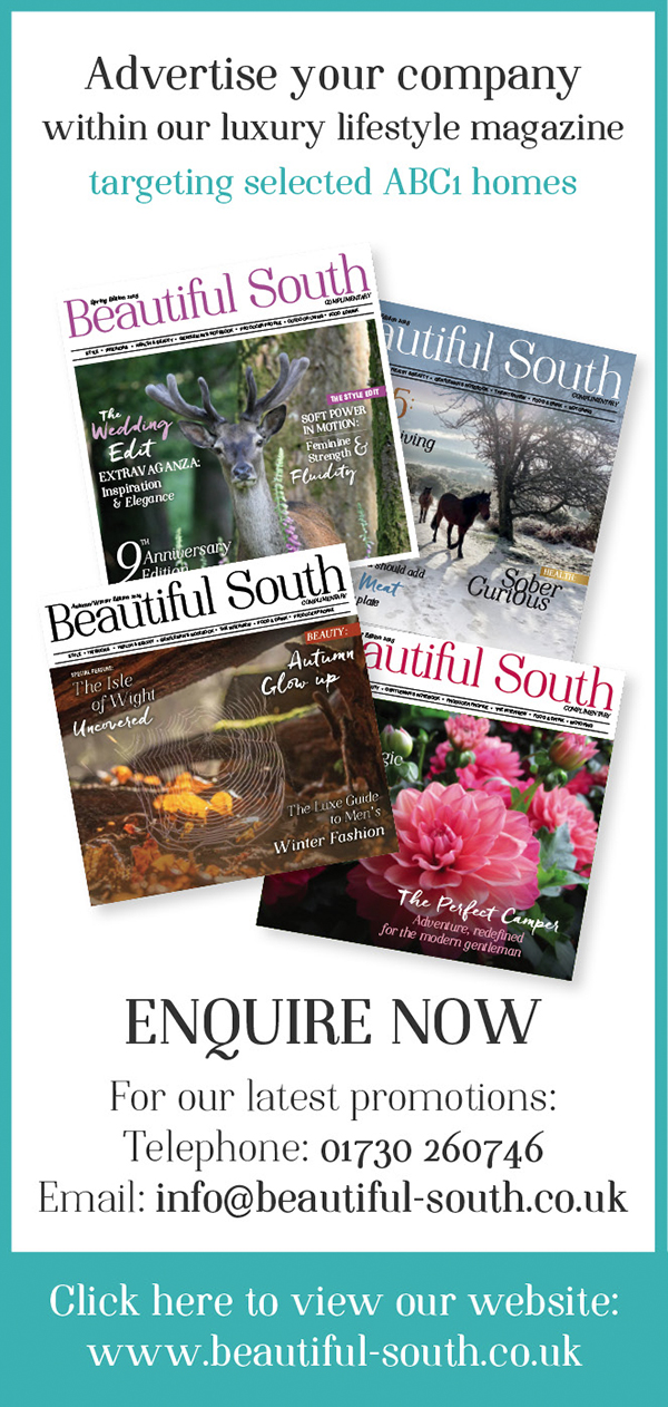 Beautiful South Banner